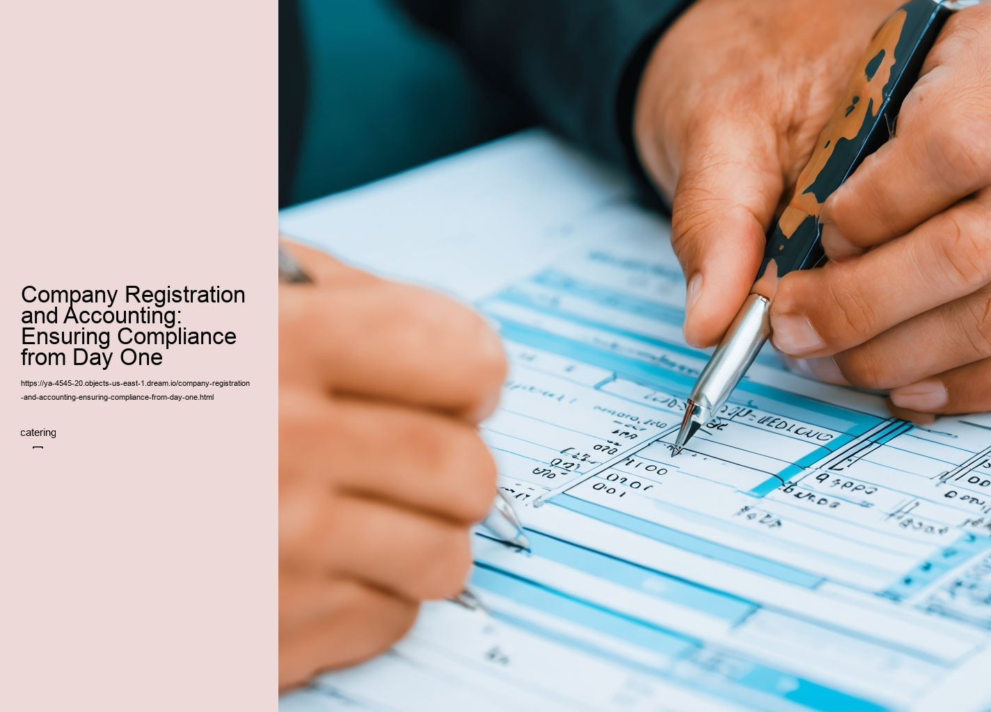 Company Registration and Accounting: Ensuring Compliance from Day One